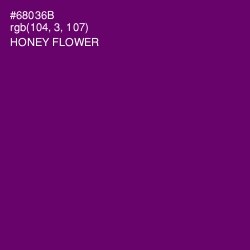 #68036B - Honey Flower Color Image